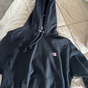 Small champions sweater